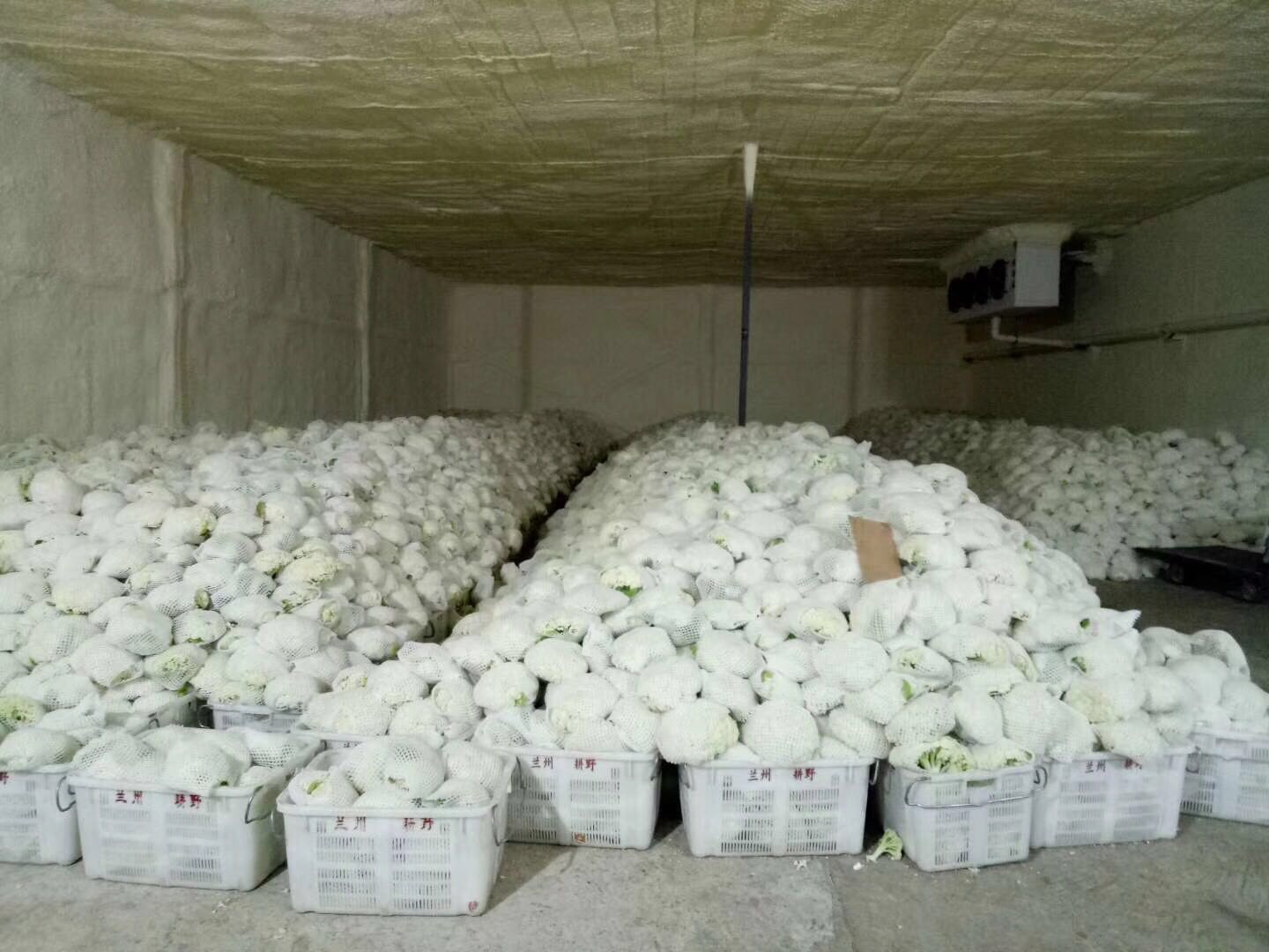 西安冷库安装 西安冷库安装