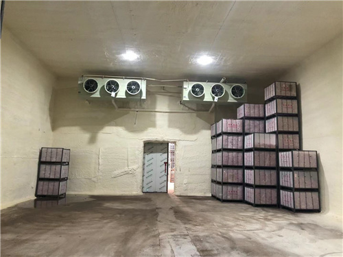 大发在线登录官网苹果冷库安装案例