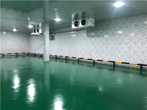 大发在线登录官网蔬菜保鲜库